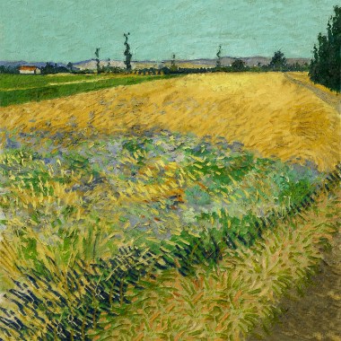 Korenveld - Van Gogh